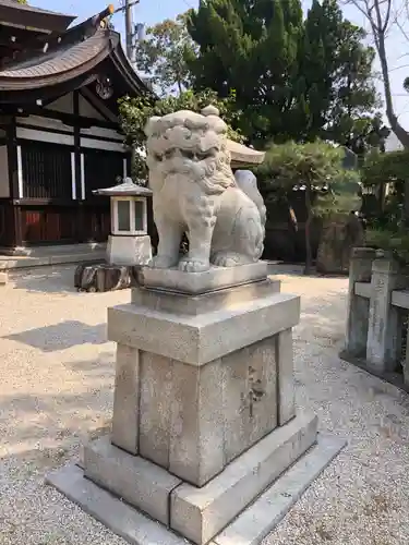 荒井神社の狛犬