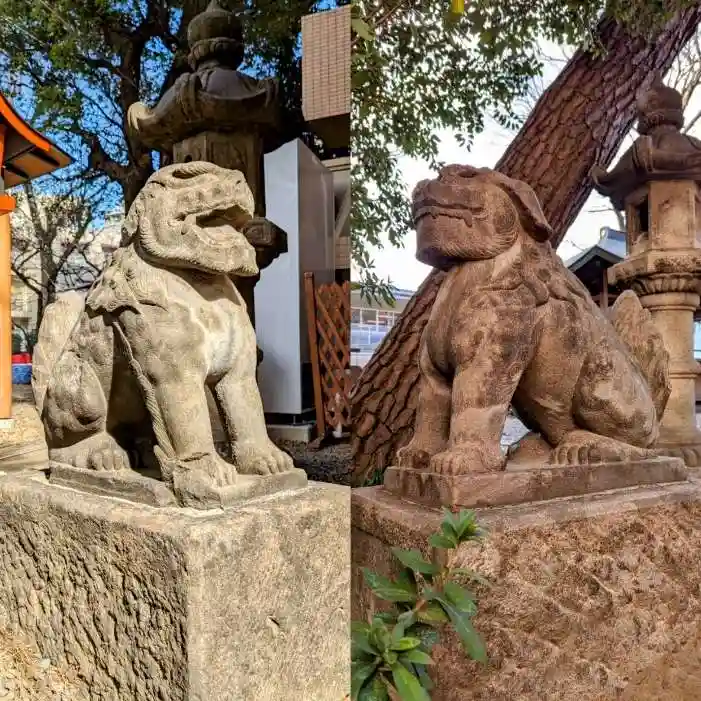 上目黒氷川神社の狛犬