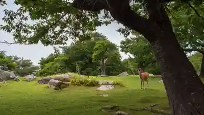 金華山黄金山神社(宮城県)