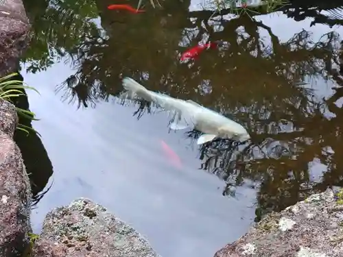 飛瀧神社（熊野那智大社別宮）(和歌山県)