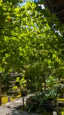 勝林寺(京都府)