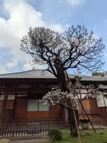 西照寺(東京都)