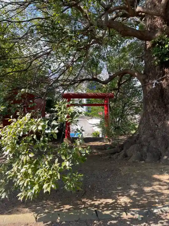 石受稲荷神社の{uncategorized: "未分類", other: "その他", undefined: "問題あり", building: "その他建物", grave: "お墓", sacred_gate: "鳥居", guardian: "狛犬", statue: "像", buddha: "仏像", history: "歴史", nature: "自然", garden: "庭園", animal: "動物", pagoda: "塔", temizu: "手水舎", mountain_gate: "山門・神門", sanctuary: "本殿・本堂", subordinate: "末社・摂社", art: "芸術", scenery: "景色", jizo: "地蔵", ema: "絵馬", goshuin: "御朱印", omikuji: "おみくじ", items: "授与品その他", amulet: "お守り", goshuincho: "御朱印帳", eats: "食事", festival: "お祭り", votive_dance: "神楽", shichigosan: "七五三参", wedding: "結婚式", experience: "体験その他", initially: "初詣", around: "周辺", anti_infection: "感染症対策"}