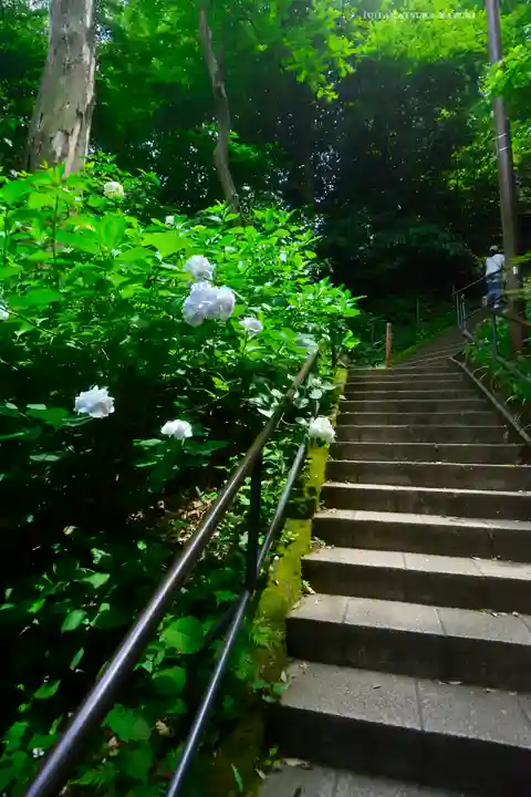 円覚寺(神奈川県)