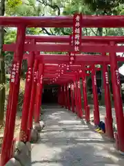 青井阿蘇神社の鳥居