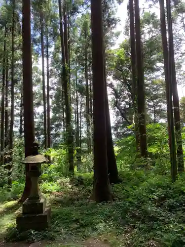 琴平神社の自然