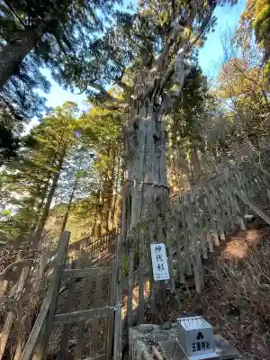 玉置神社(奈良県)