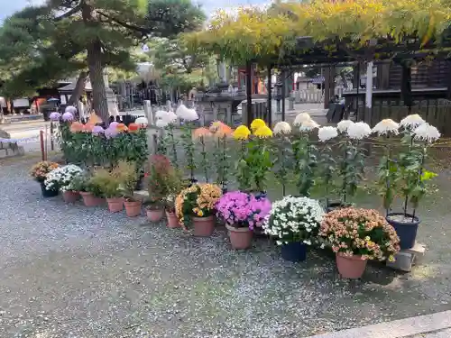 葛井寺(大阪府)