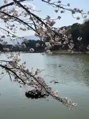 橿原神宮(奈良県)