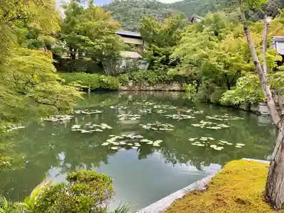 禅林寺(永観堂)(京都府)