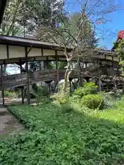 崇真寺(開運犬り切不動尊)(栃木県)