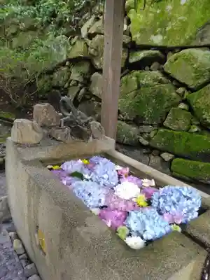 村雲御所瑞龍寺門跡(滋賀県)
