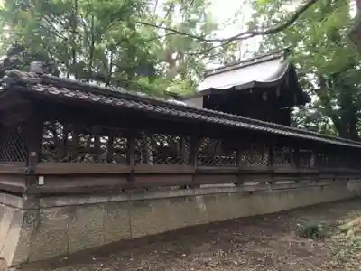 膳所神社の本殿・本堂