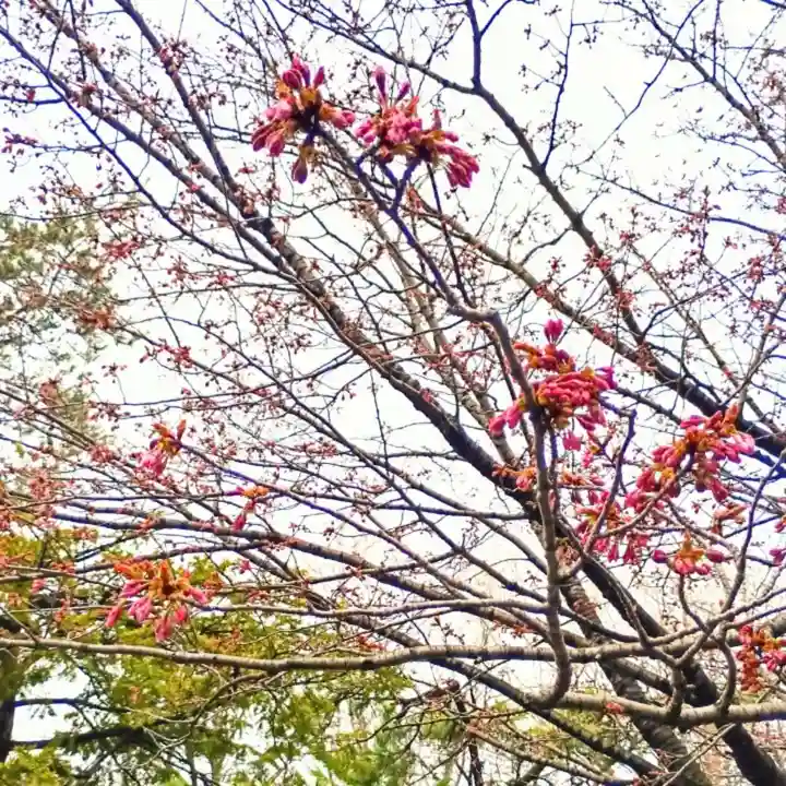 彌彦神社 (伊夜日子神社)の自然