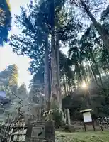 御岩神社(茨城県)