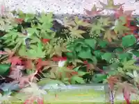 嘉川八幡宮(山口県)