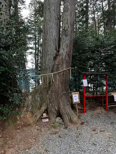 坪沼八幡神社の庭園