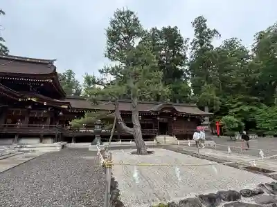 多賀大社(滋賀県)