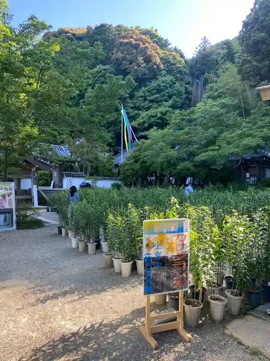 松尾寺(奈良県)