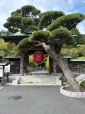 長谷寺(神奈川県)