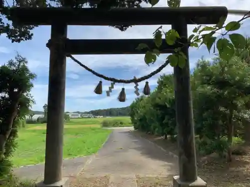 白幡神社の鳥居