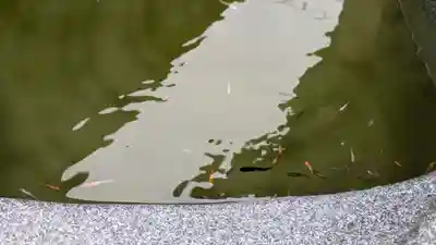 金樹寺(京都府)