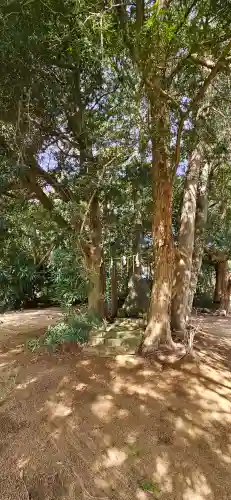 海上八幡宮の{uncategorized: "未分類", other: "その他", undefined: "問題あり", building: "その他建物", grave: "お墓", sacred_gate: "鳥居", guardian: "狛犬", statue: "像", buddha: "仏像", history: "歴史", nature: "自然", garden: "庭園", animal: "動物", pagoda: "塔", temizu: "手水舎", mountain_gate: "山門・神門", sanctuary: "本殿・本堂", subordinate: "末社・摂社", art: "芸術", scenery: "景色", jizo: "地蔵", ema: "絵馬", goshuin: "御朱印", omikuji: "おみくじ", items: "授与品その他", amulet: "お守り", goshuincho: "御朱印帳", eats: "食事", festival: "お祭り", votive_dance: "神楽", shichigosan: "七五三参", wedding: "結婚式", experience: "体験その他", initially: "初詣", around: "周辺", anti_infection: "感染症対策"}