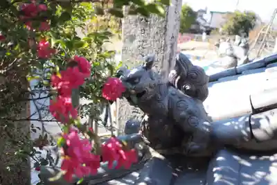 岐阜善光寺の狛犬