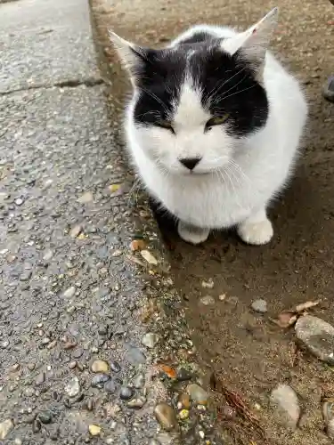 鎌数伊勢大神宮の{uncategorized: "未分類", other: "その他", undefined: "問題あり", building: "その他建物", grave: "お墓", sacred_gate: "鳥居", guardian: "狛犬", statue: "像", buddha: "仏像", history: "歴史", nature: "自然", garden: "庭園", animal: "動物", pagoda: "塔", temizu: "手水舎", mountain_gate: "山門・神門", sanctuary: "本殿・本堂", subordinate: "末社・摂社", art: "芸術", scenery: "景色", jizo: "地蔵", ema: "絵馬", goshuin: "御朱印", omikuji: "おみくじ", items: "授与品その他", amulet: "お守り", goshuincho: "御朱印帳", eats: "食事", festival: "お祭り", votive_dance: "神楽", shichigosan: "七五三参", wedding: "結婚式", experience: "体験その他", initially: "初詣", around: "周辺", anti_infection: "感染症対策"}