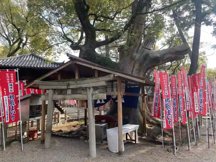 住吉大社の{uncategorized: "未分類", other: "その他", undefined: "問題あり", building: "その他建物", grave: "お墓", sacred_gate: "鳥居", guardian: "狛犬", statue: "像", buddha: "仏像", history: "歴史", nature: "自然", garden: "庭園", animal: "動物", pagoda: "塔", temizu: "手水舎", mountain_gate: "山門・神門", sanctuary: "本殿・本堂", subordinate: "末社・摂社", art: "芸術", scenery: "景色", jizo: "地蔵", ema: "絵馬", goshuin: "御朱印", omikuji: "おみくじ", items: "授与品その他", amulet: "お守り", goshuincho: "御朱印帳", eats: "食事", festival: "お祭り", votive_dance: "神楽", shichigosan: "七五三参", wedding: "結婚式", experience: "体験その他", initially: "初詣", around: "周辺", anti_infection: "感染症対策"}