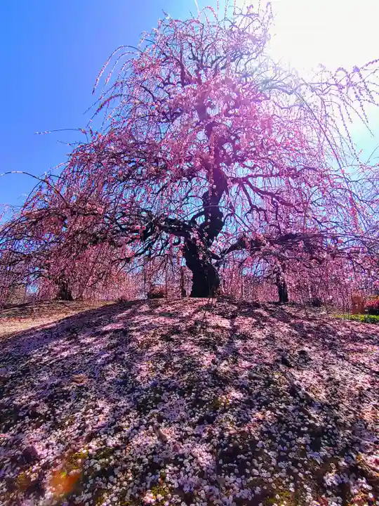 神野神明社の周辺