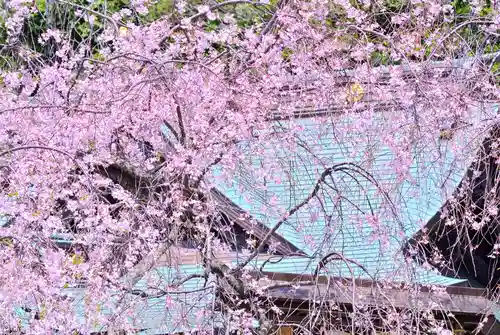 根岸八幡神社(神奈川県)