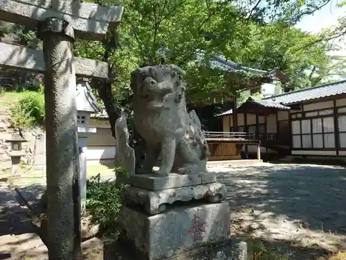 黒戸奈神社の狛犬