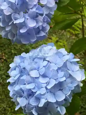 本土寺(千葉県)