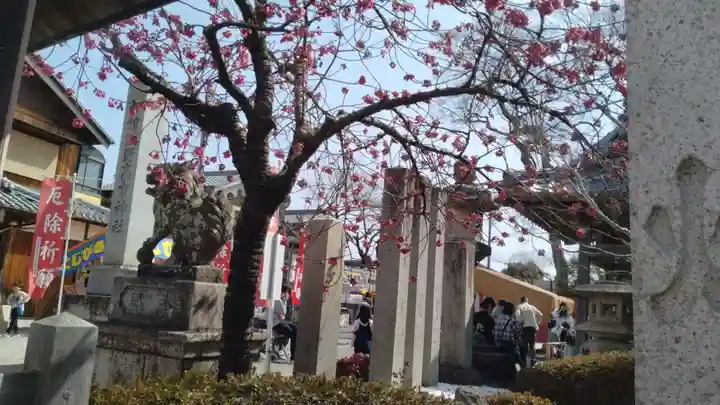 神館飯野高市本多神社(三重県)