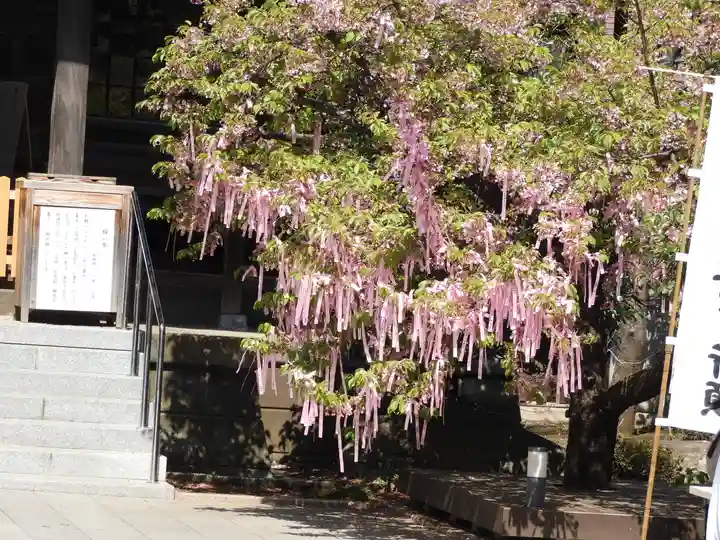 桜神宮(東京都)