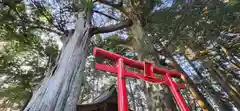 涼ケ岡八幡神社の鳥居