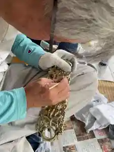 當光寺(東京都)(2024年04月25日(木) 10時08分23秒投稿)