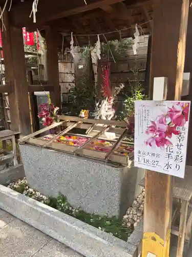 東京大神宮(東京都)