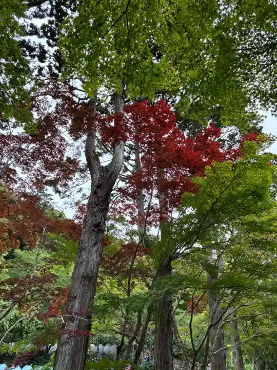 尊永寺(静岡県)