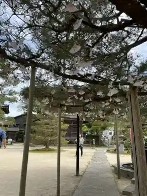 智恩寺(京都府)