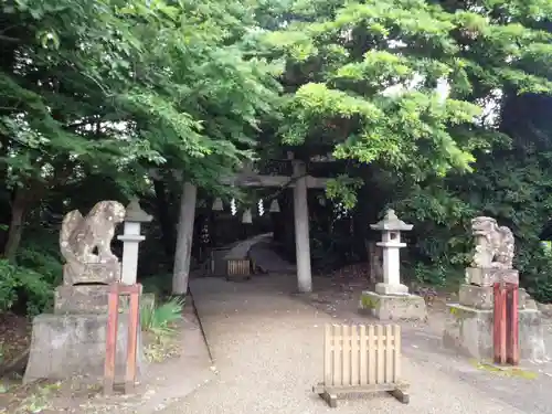 須須神社の狛犬