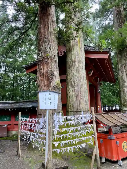 日光二荒山神社(栃木県)