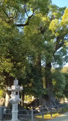 春日神社(福岡県)
