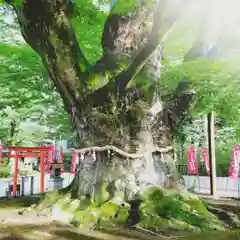 秩父今宮神社の建物その他