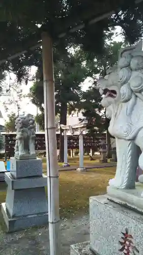 子ノ権現神社の狛犬