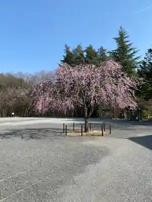身曾岐神社(山梨県)