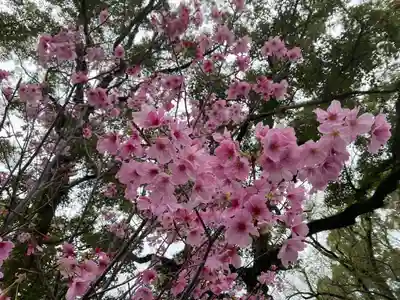 美奈宜神社(福岡県)