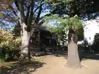 瑞円寺(東京都)