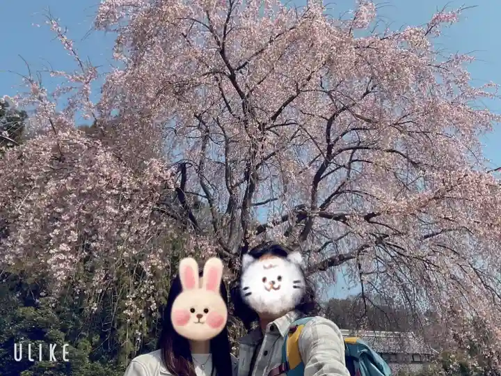 櫻木神社の自然